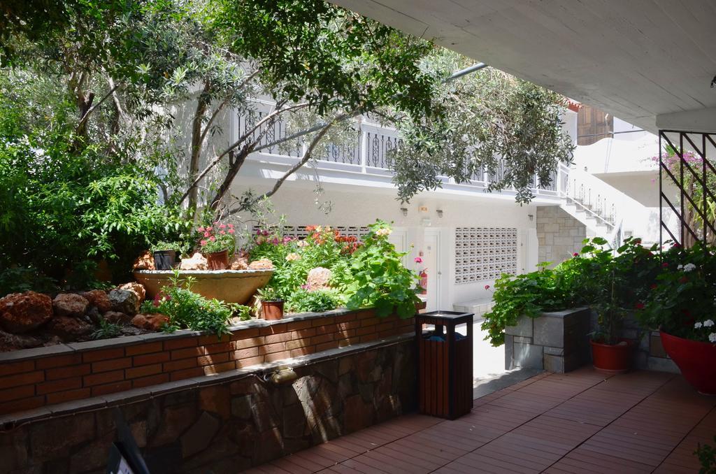 Hotel Vicky II Πλωμάρι Εξωτερικό φωτογραφία