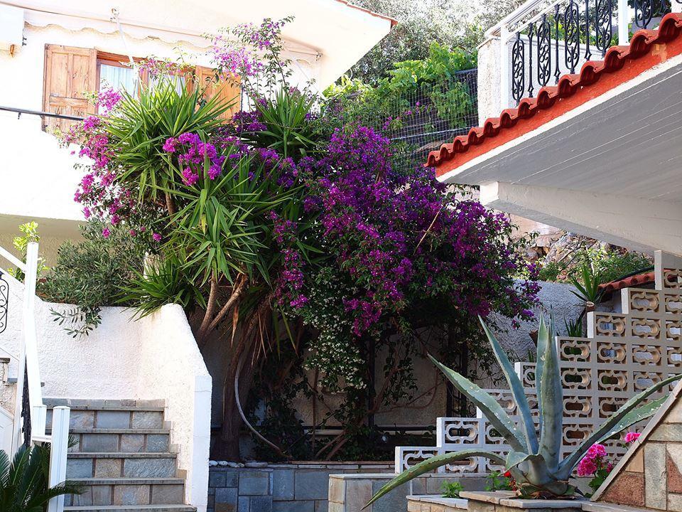 Hotel Vicky II Πλωμάρι Εξωτερικό φωτογραφία
